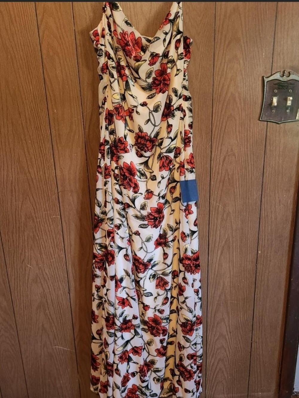 Lulu's Cream Maxi Dress with Red Floral Print
